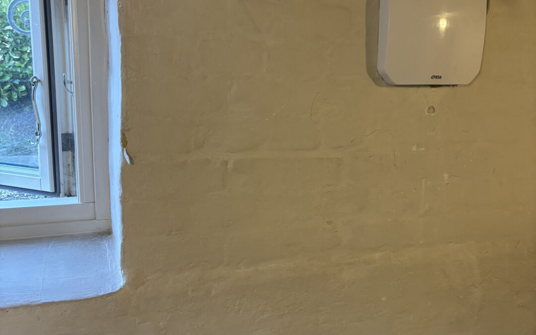 Skimmelsvamp i kælder stoppes med effektiv ventilation
